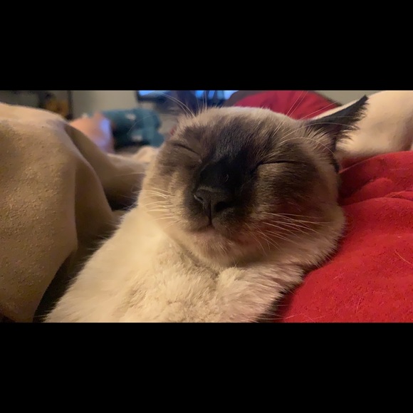 Meet your Posher, Jose - Picture 1 of 1